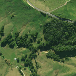 Satellite imagery of G NO 2, NZ
