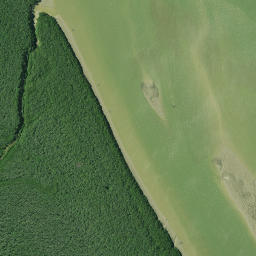 Satellite imagery of Otara Point, NZ