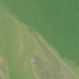 Satellite imagery of Otara Point, NZ