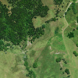 Satellite imagery of 1356 PUKEHUIA, NZ