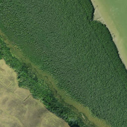 Satellite imagery of Otara Point, NZ