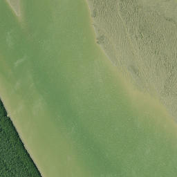 Satellite imagery of Otara Point, NZ