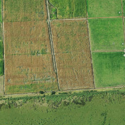 Satellite imagery of Kohatutahi Point, NZ