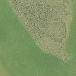Satellite imagery of Otara Point, NZ