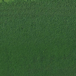 Satellite imagery of Kohatutahi Point, NZ