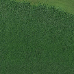Satellite imagery of Kohatutahi Point, NZ