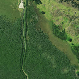 Satellite imagery of Kumuakiti Point, NZ