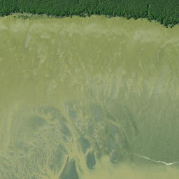 Satellite imagery of Kumuakiti Point, NZ