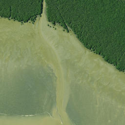 Satellite imagery of Kumuakiti Point, NZ