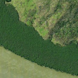 Satellite imagery of Kumuakiti Point, NZ