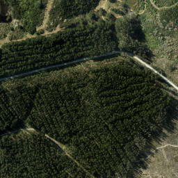 Satellite imagery of I TE ARAI, NZ