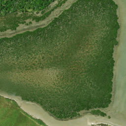 Satellite imagery of Karakanui Point, NZ