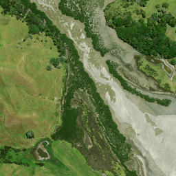 Satellite imagery of Page Point, NZ