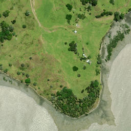 Satellite imagery of Page Point, NZ