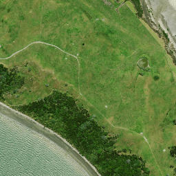 Satellite imagery of Page Point, NZ