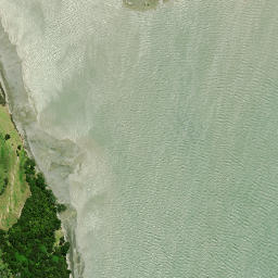 Satellite imagery of Page Point, NZ
