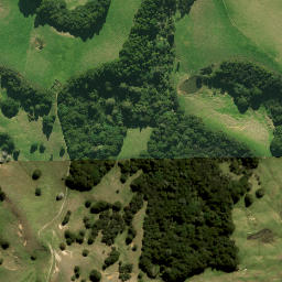 Satellite imagery of boundary_stone, NZ