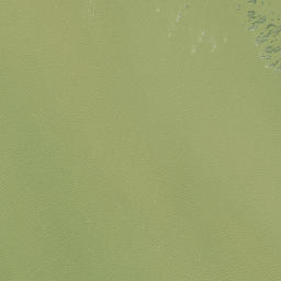 Satellite imagery of Paraoanui Point, NZ