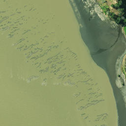 Satellite imagery of Paraoanui Point, NZ