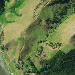 Satellite imagery of Paraoanui Point, NZ