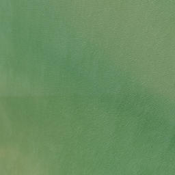 Satellite imagery of Karakanui Point, NZ
