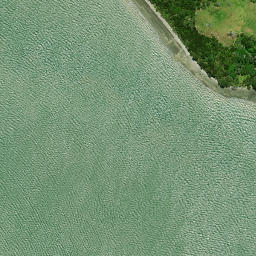 Satellite imagery of Page Point, NZ