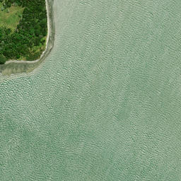 Satellite imagery of Puriri Point, NZ