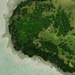 Satellite imagery of Puriri Point, NZ