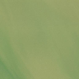 Satellite imagery of Paraoanui Point, NZ