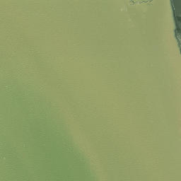 Satellite imagery of Paraoanui Point, NZ