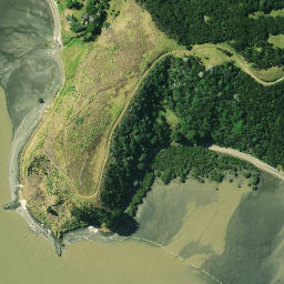 Satellite imagery of Paraoanui Point, NZ