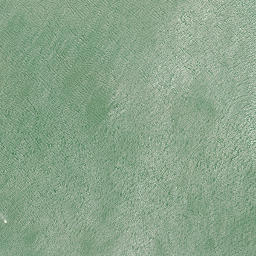 Satellite imagery of Puriri Point, NZ
