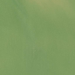 Satellite imagery of Paraoanui Point, NZ