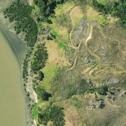 Satellite imagery of Werewere Point, NZ
