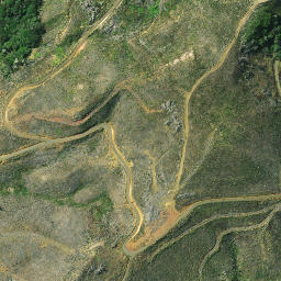 Satellite imagery of Werewere Point, NZ