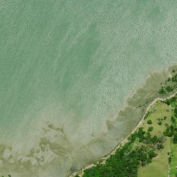 Satellite imagery of Puriri Point, NZ