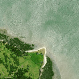 Satellite imagery of Puriri Point, NZ