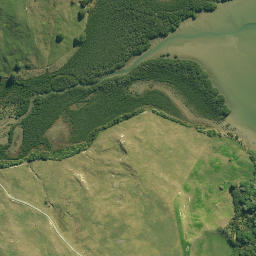 Satellite imagery of Paparoa Point, NZ