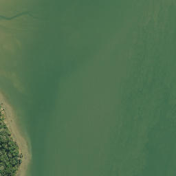Satellite imagery of Paparoa Point, NZ