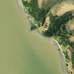 Satellite imagery of Werewere Point, NZ