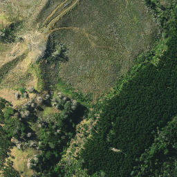 Satellite imagery of Werewere Point, NZ