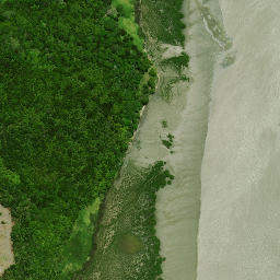 Satellite imagery of Huarua Point, NZ