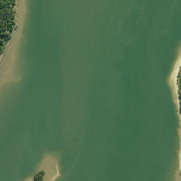 Satellite imagery of Paparoa Point, NZ
