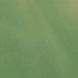 Satellite imagery of Pakaukau Point, NZ