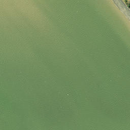Satellite imagery of Pakaukau Point, NZ