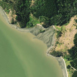 Satellite imagery of Pakaukau Point, NZ