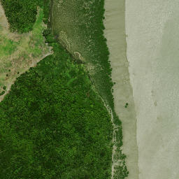 Satellite imagery of Huarua Point, NZ