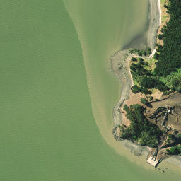 Satellite imagery of Pakaukau Point, NZ