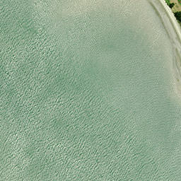 Satellite imagery of Whakapirau/Rocky Point, NZ