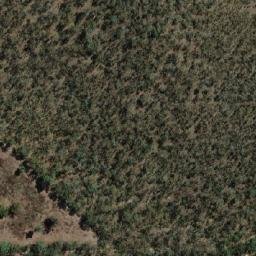 Satellite imagery of Little Pilot, AU